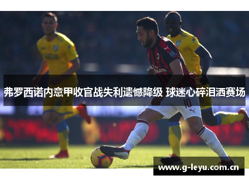 弗罗西诺内意甲收官战失利遗憾降级 球迷心碎泪洒赛场